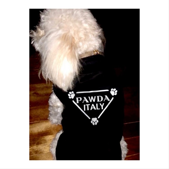 Pawda Italy Dog Tee/ Cat Tee Shirt in Black and White/ Brand New - Picture 3 of 9